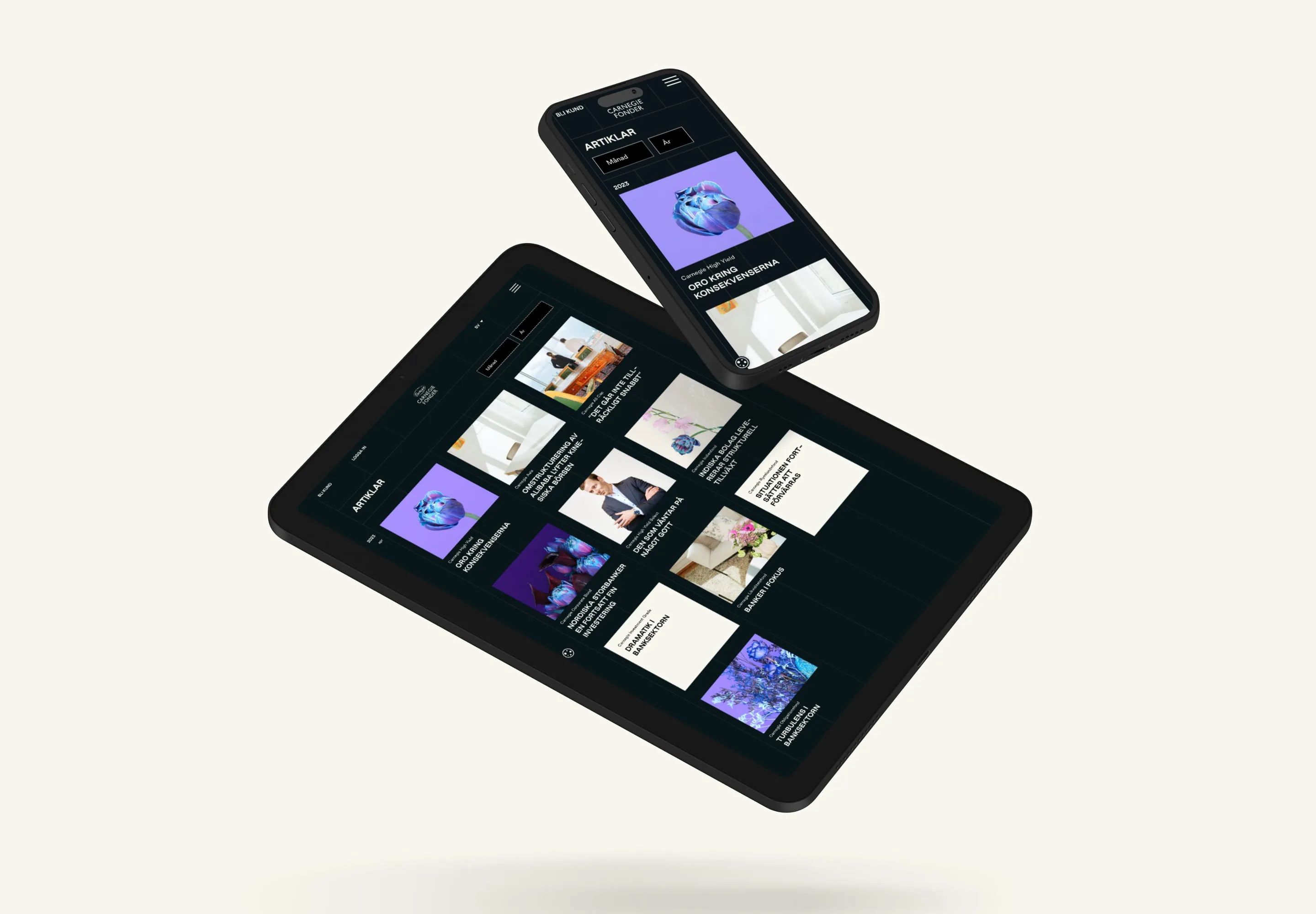 Carnegie Fonder — detail 7