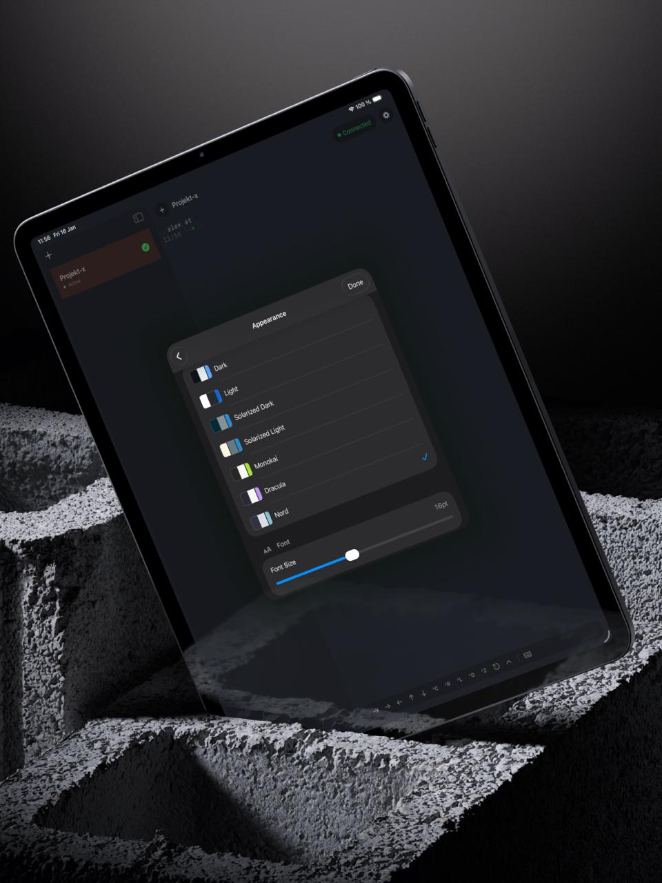 TermAway running on iPad