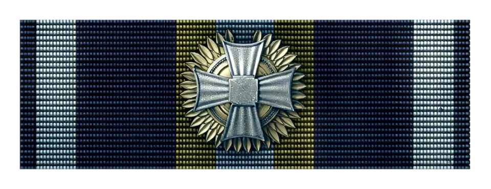 Battlefield 3 ribbon 3